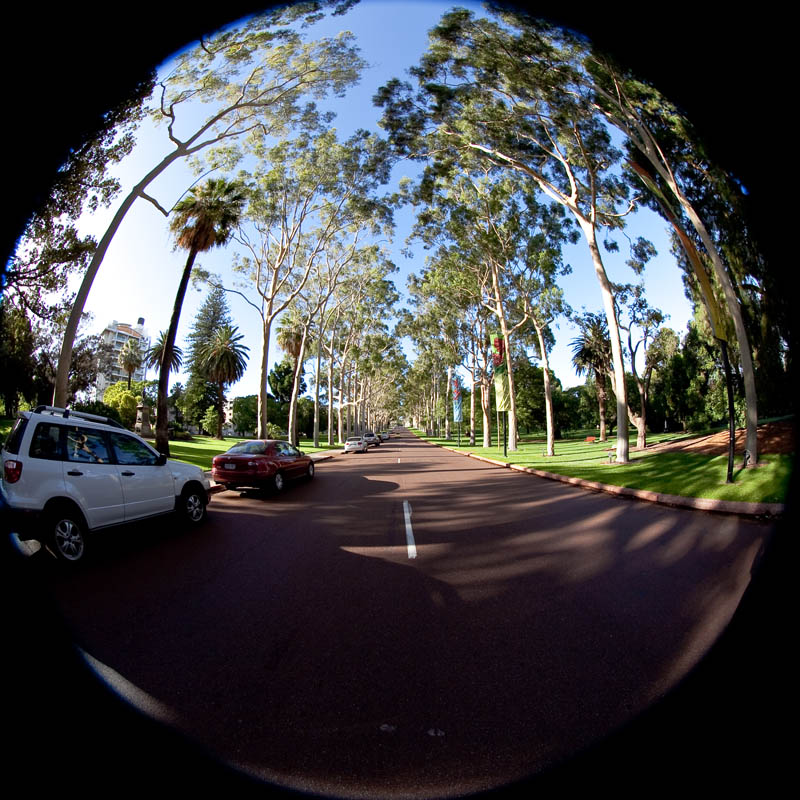 Fraser Avenue Kings Park