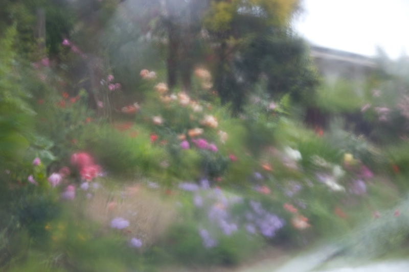 From a car window