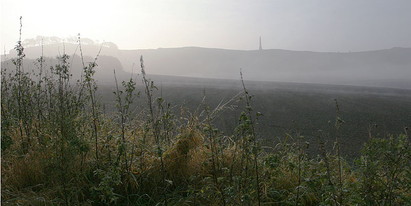 Foggy morning in Wiltshire