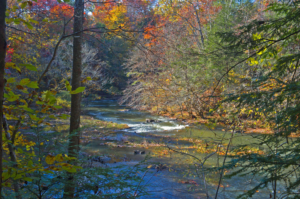 Autumn Stream