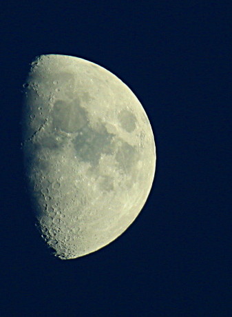 AUGUST MOON