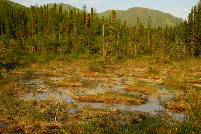 Liard Hotsprings