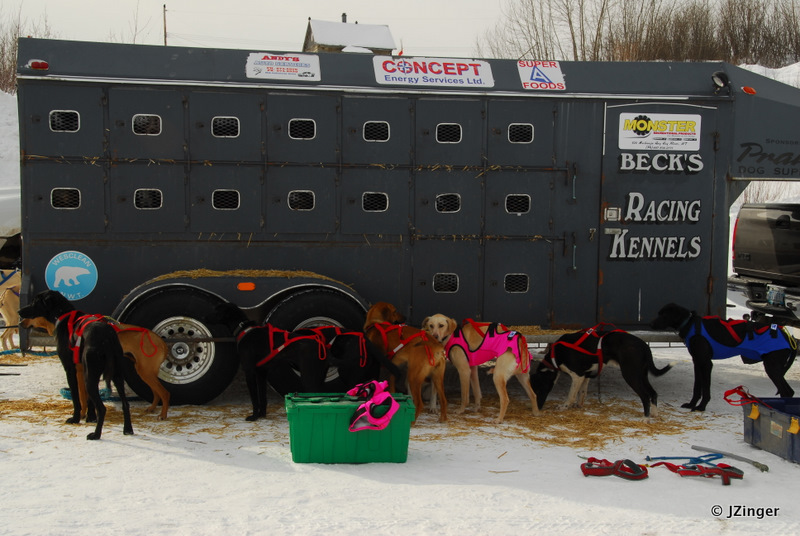 Fort Simpson Beaver Tail Festival- Sled Dog Race