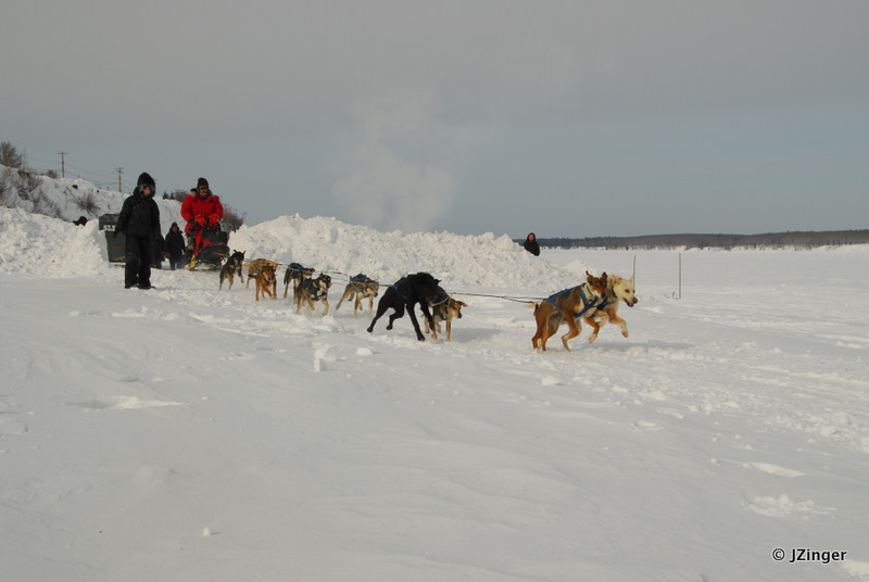 Fort Simpson Beaver Tail Festival- Sled Dog Race