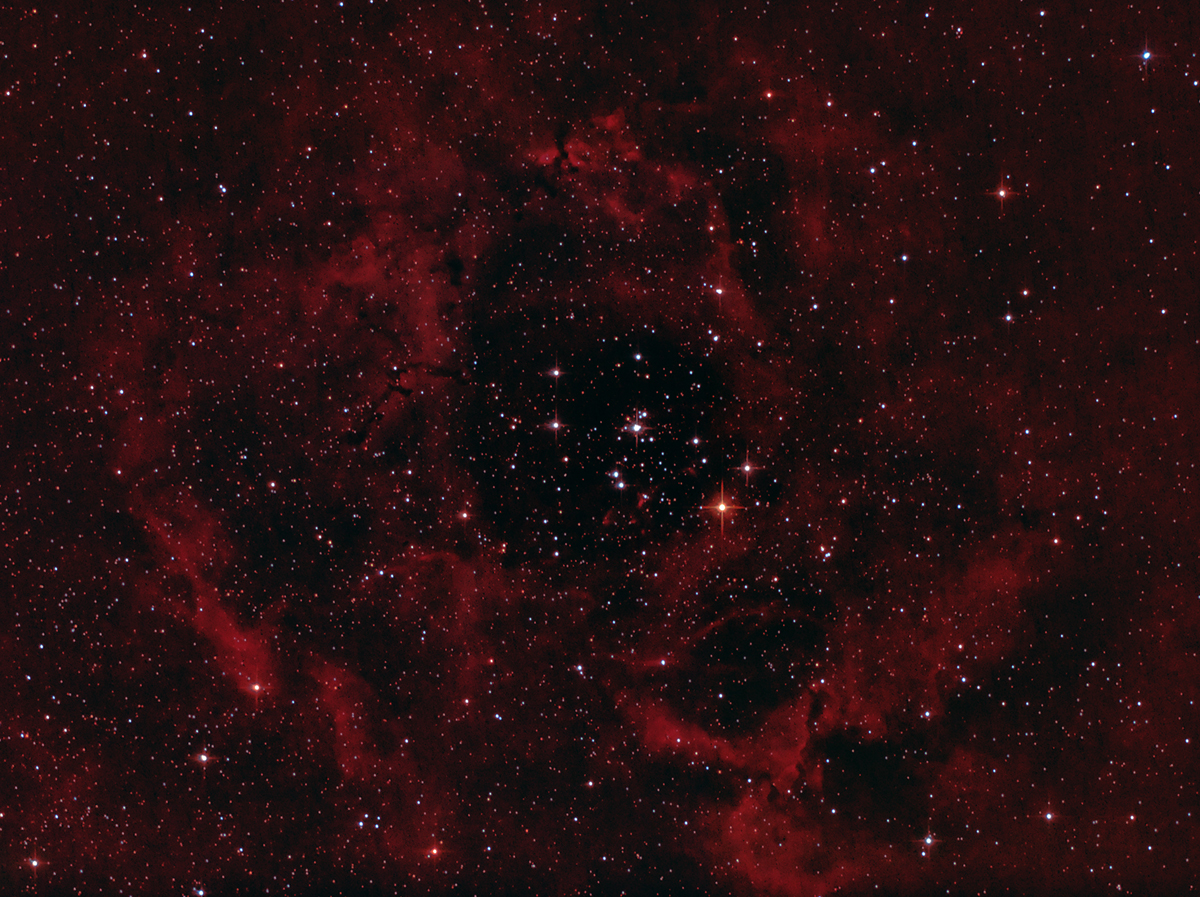 The Rosette Nebula - NGC 2244 and NGC 2237-9,46 in Monoceros