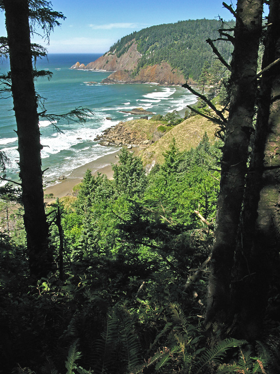 Trail between Ecola Point and Indian Beach