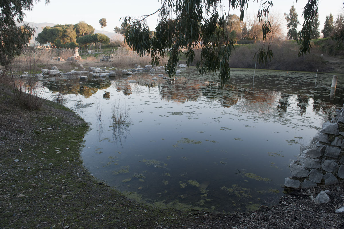 Selcuk Artemis Temple March 2011 3475.jpg