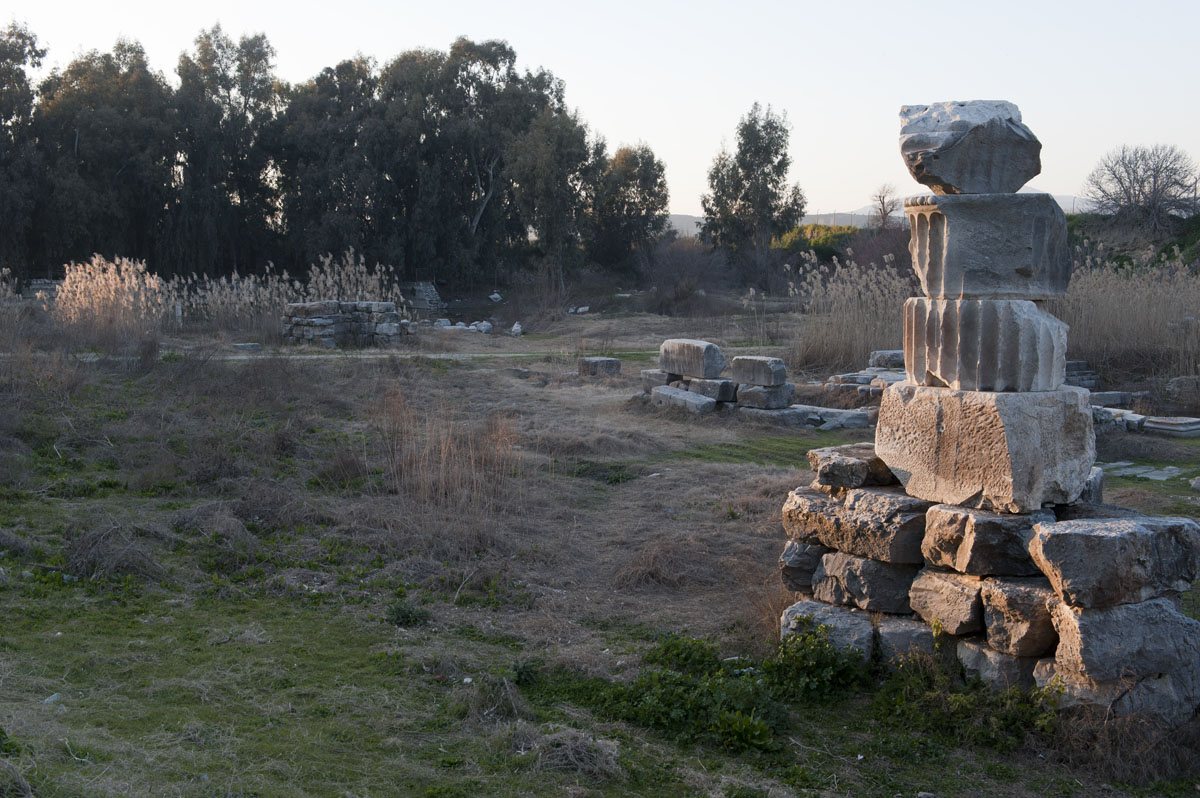 Selcuk Artemis Temple March 2011 3480.jpg