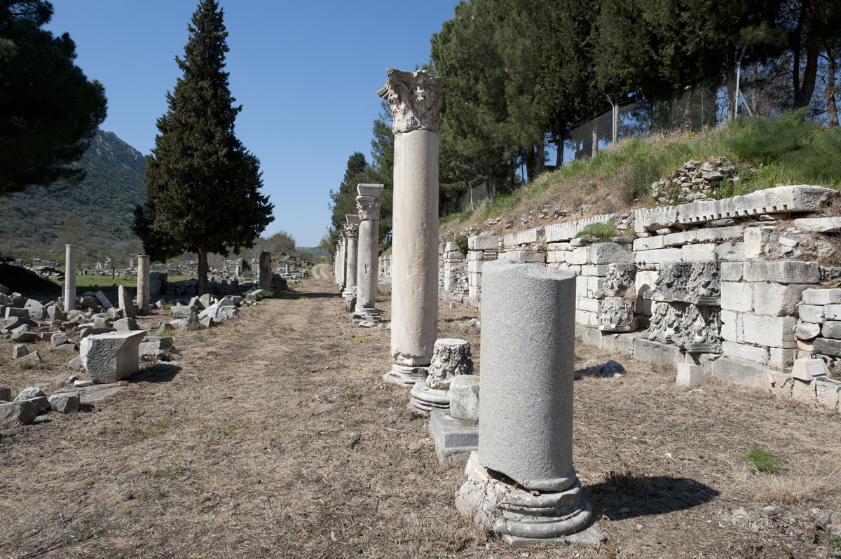 Ephesus March 2011 3623.jpg