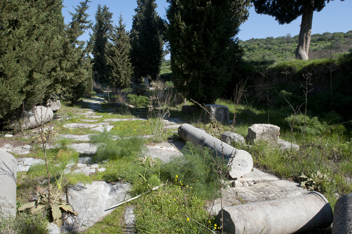 Ephesus March 2011 3525.jpg