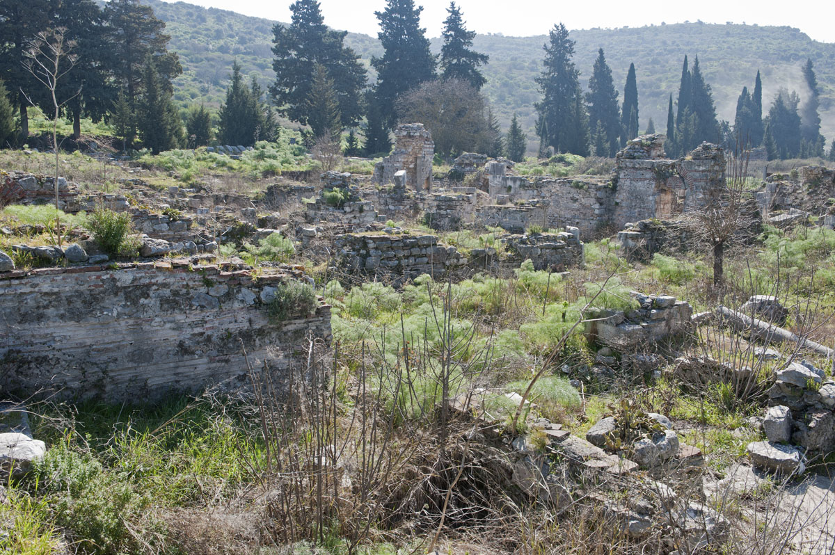 Ephesus March 2011 3534.jpg