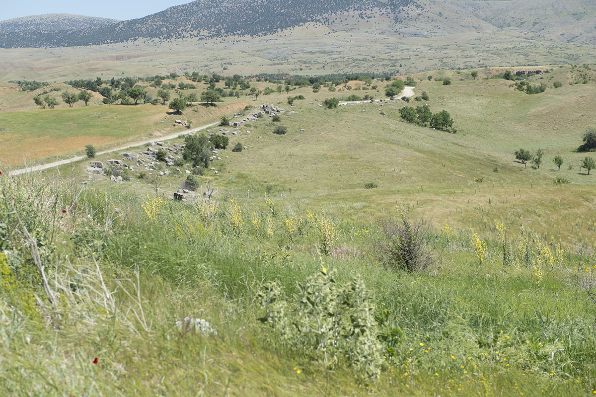 Antioch in Pisidia 20062012_2905.jpg
