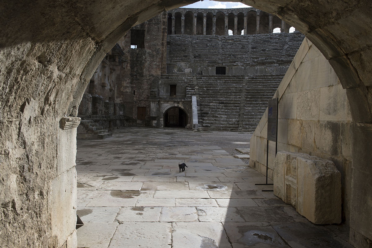 Aspendos december 2012 7327.jpg