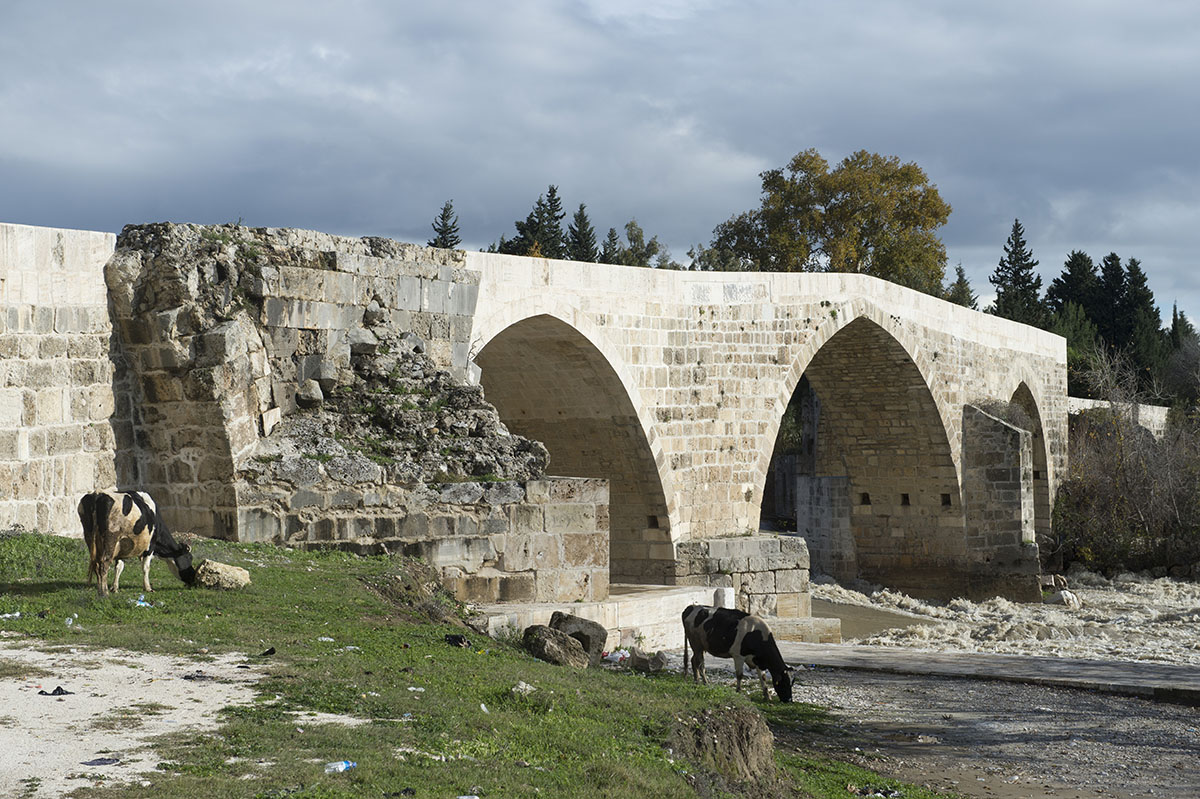 Aspendos december 2012 7324.jpg