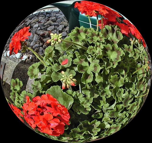 UZI Spherized- More Flowers In A Pot