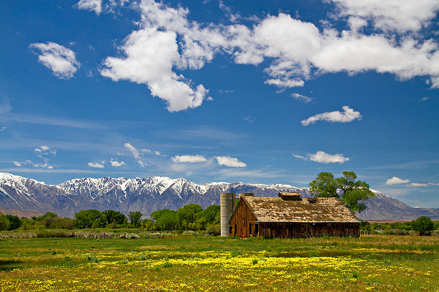 Barn in Springtime at the Bishop Area.jpg