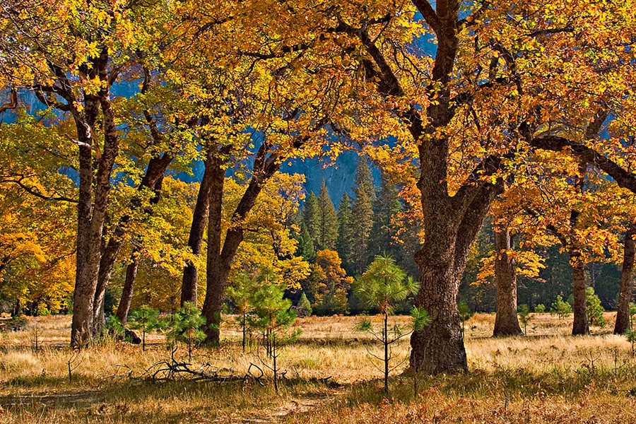 Autumn in the Valley.jpg