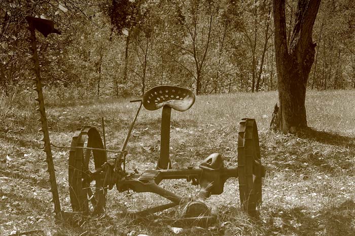 Early Hay Cutter