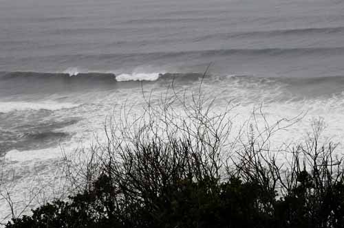 To Mendocino, CA 17