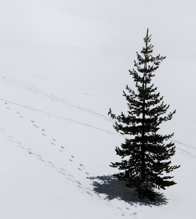 Leave Only Footprints...