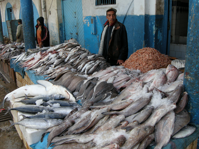 Fiskmarknaden i Larache