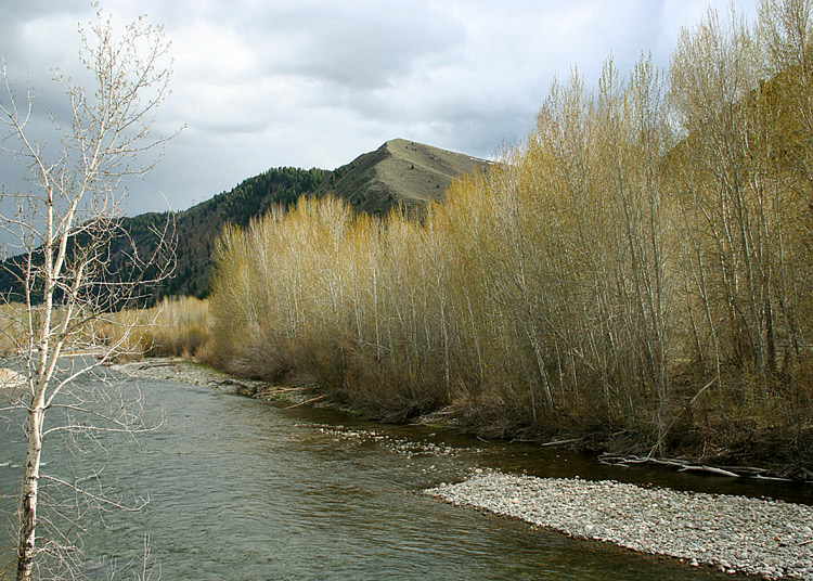 Spring on the Big Wood River