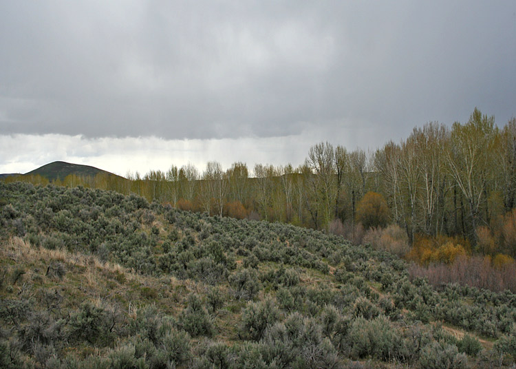 Storm over Sage