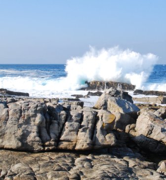 HERMANUS MY BACK YARD.jpg