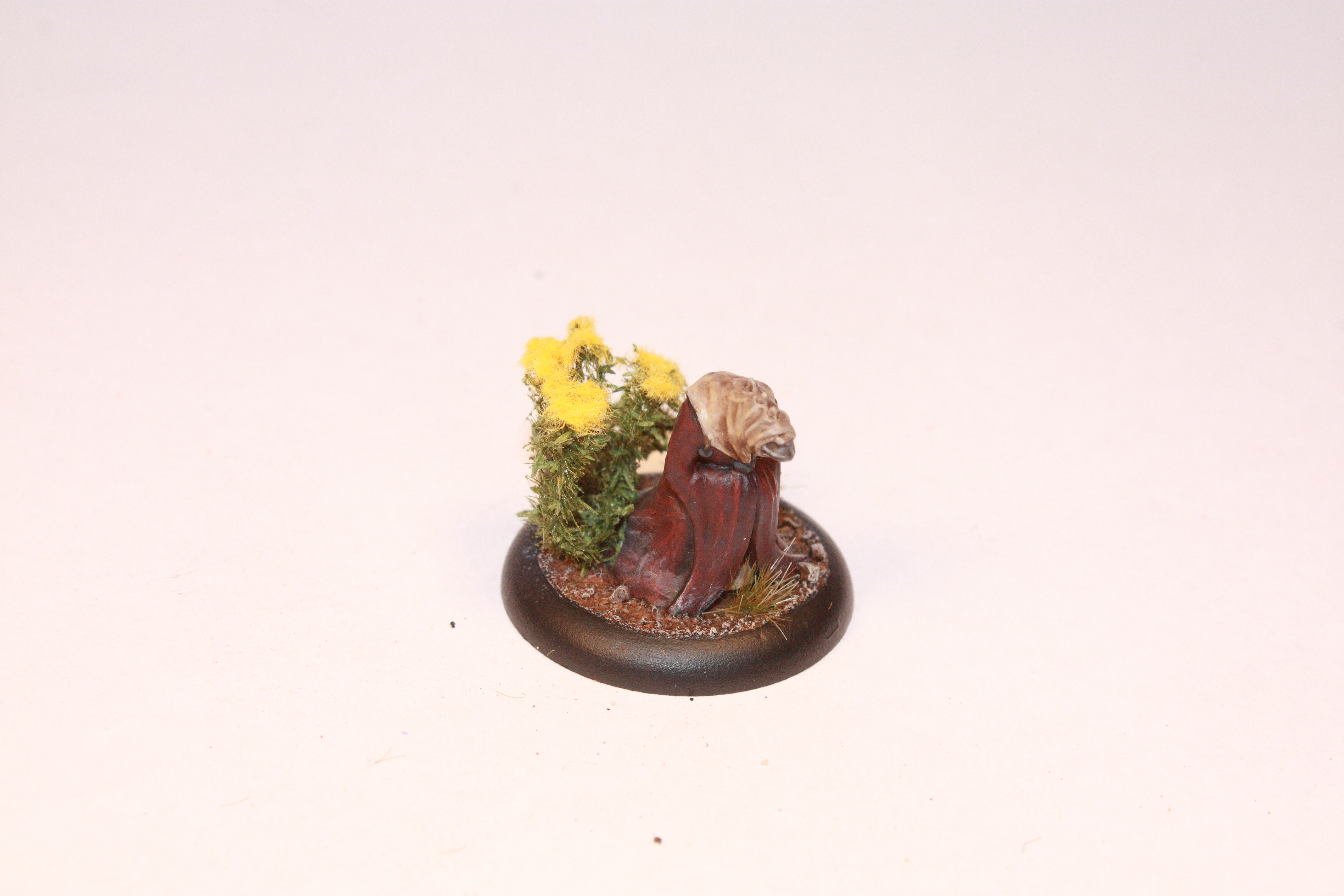 Acolyte2.JPG