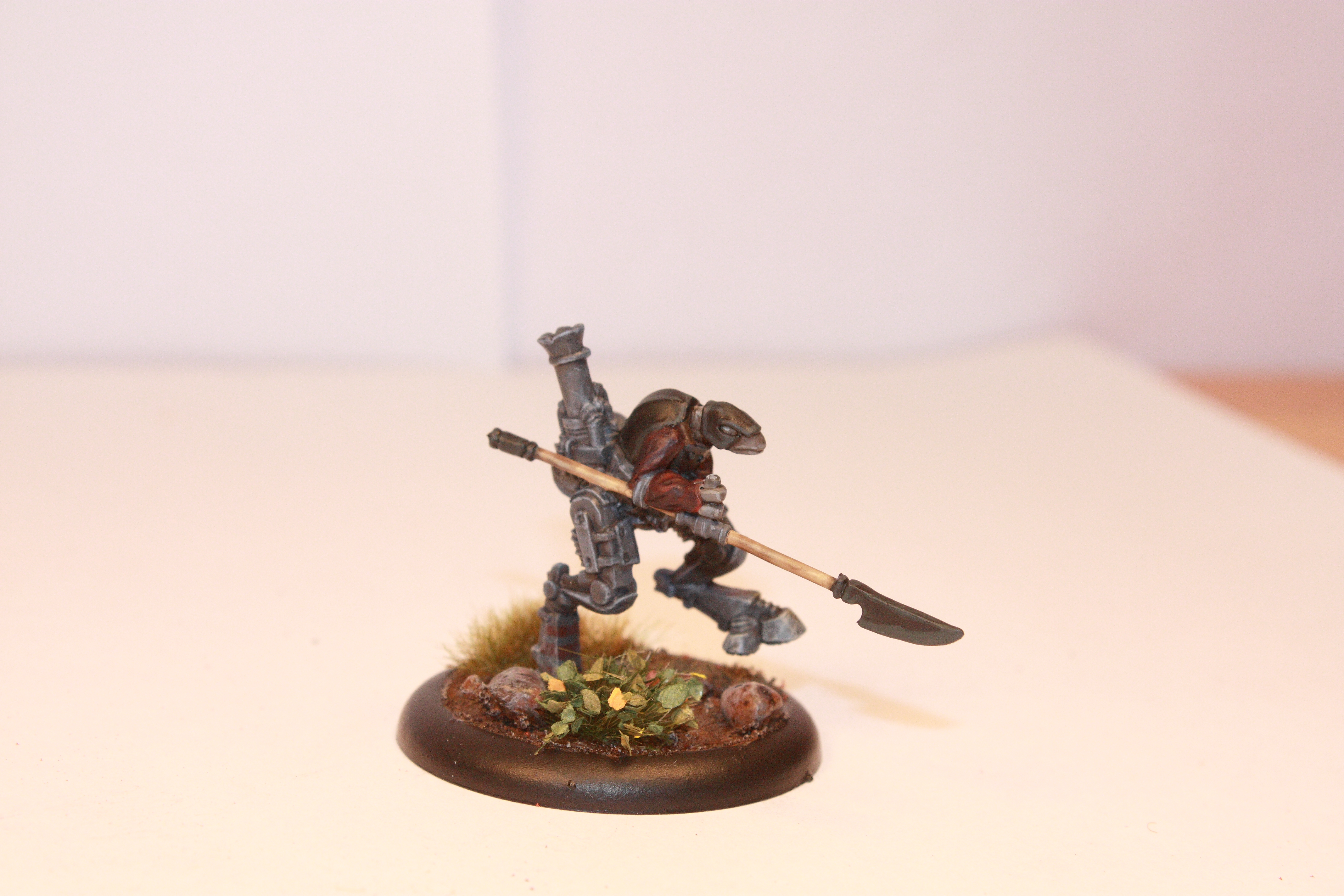 Strider.JPG