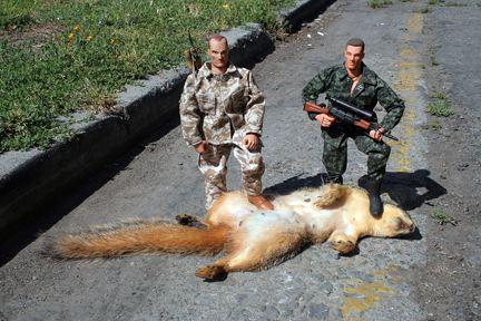 Dead_Squirrel.jpg