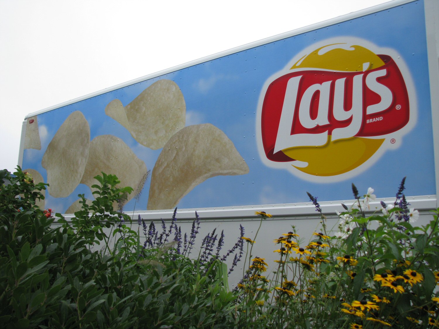 Chips.jpg