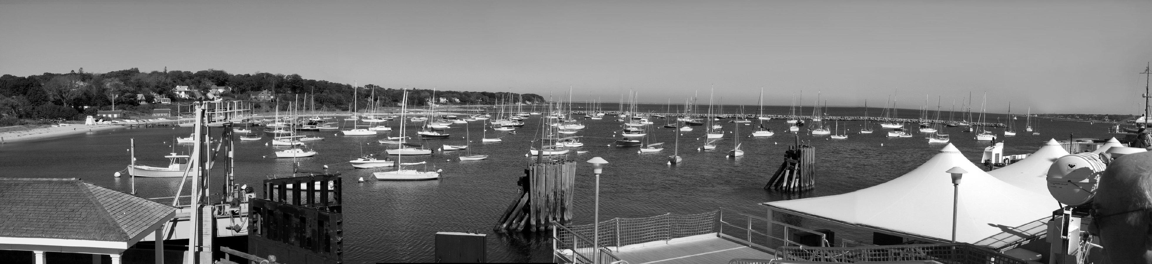 Ferry Harborview.jpg