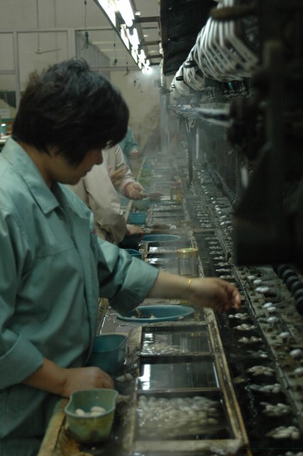 Yangtze 1 341 426x640.jpg