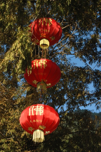 Yangtze 1 707 426x640.jpg