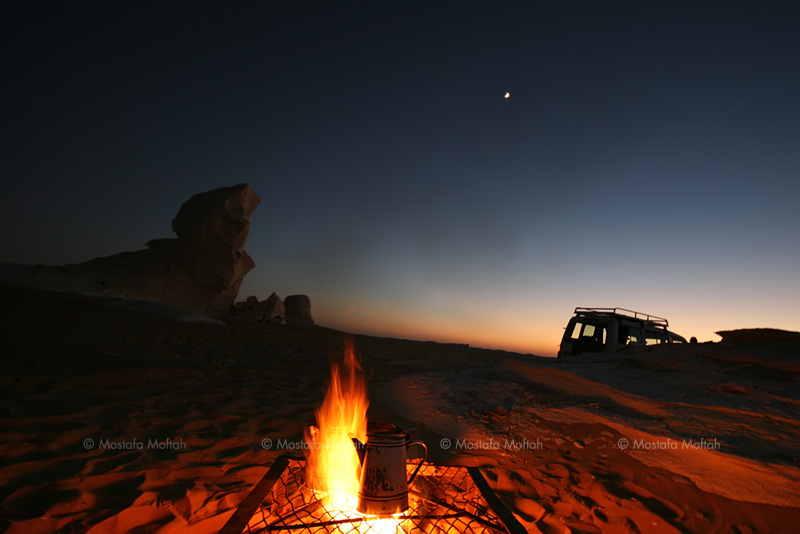 Tea in the Sahara