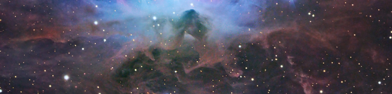 Dust Wing near M42
