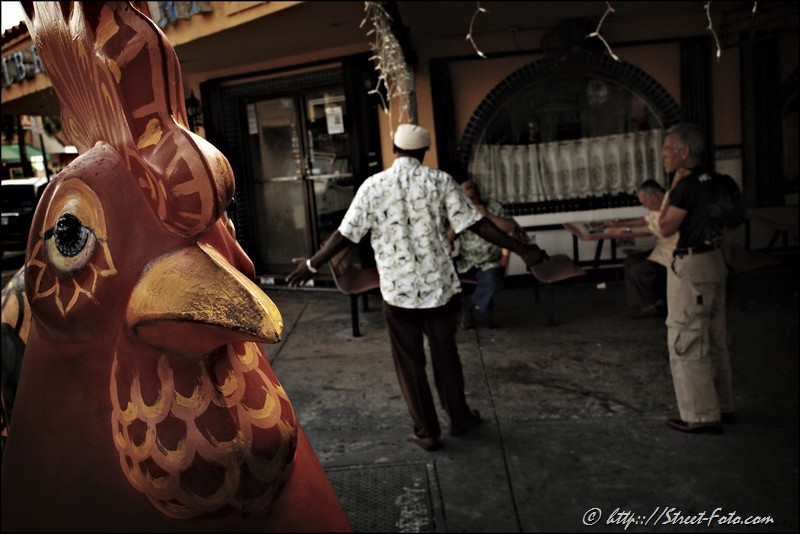 Calle Ocho / Little Havana