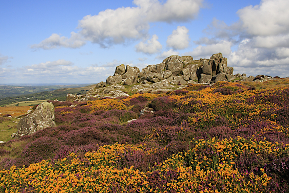 Garn Fawr