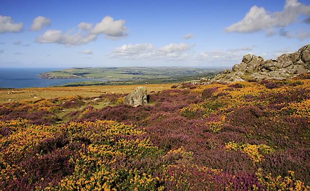 Garn Fawr