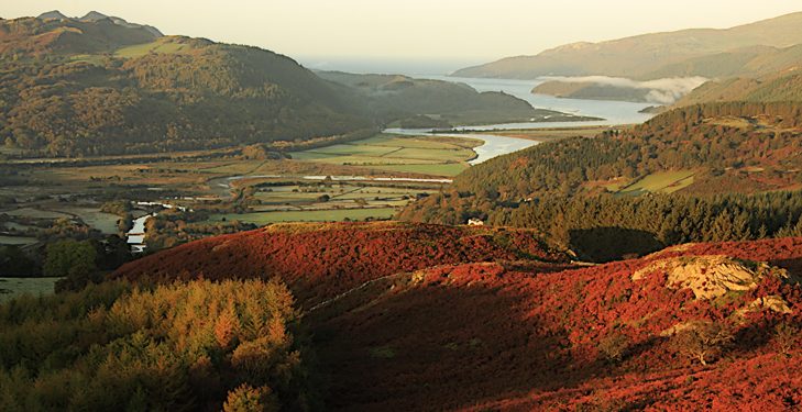 The Mawddach Estuary