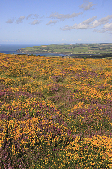 Garn Fawr