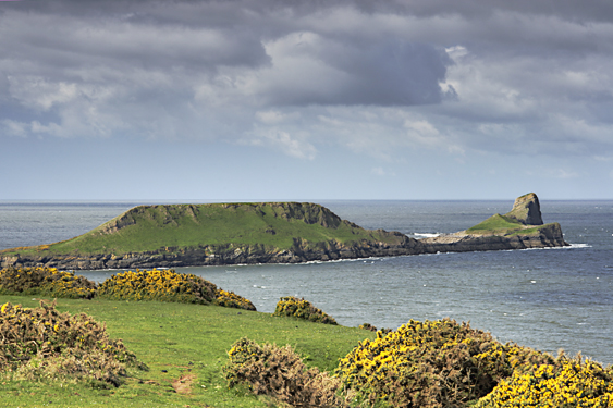 Worms Head