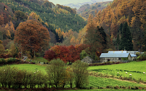 Autumn Colours