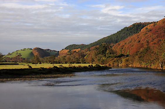 River Dyfi