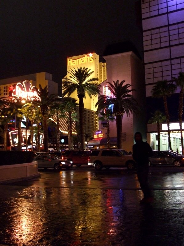 Rainy Walk on the Strip