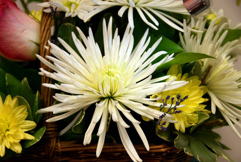 Flowers on My Desk