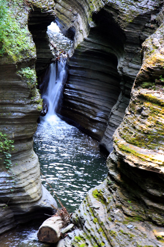 Gorge forge, Watkins Glen State Park, NY