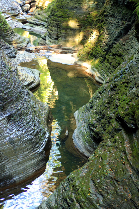 Gorge trail, Watkins Glen State Park, NY