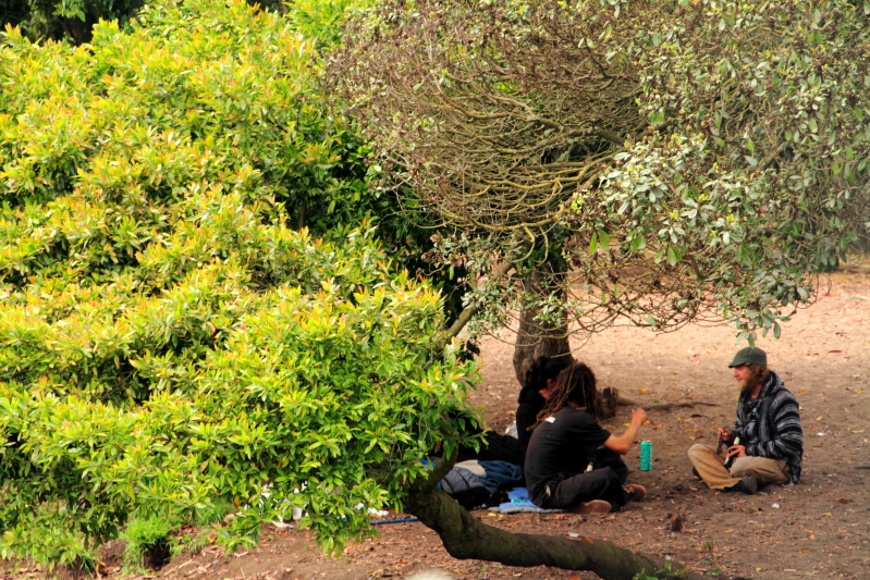 Picnic in the park, San Francisco